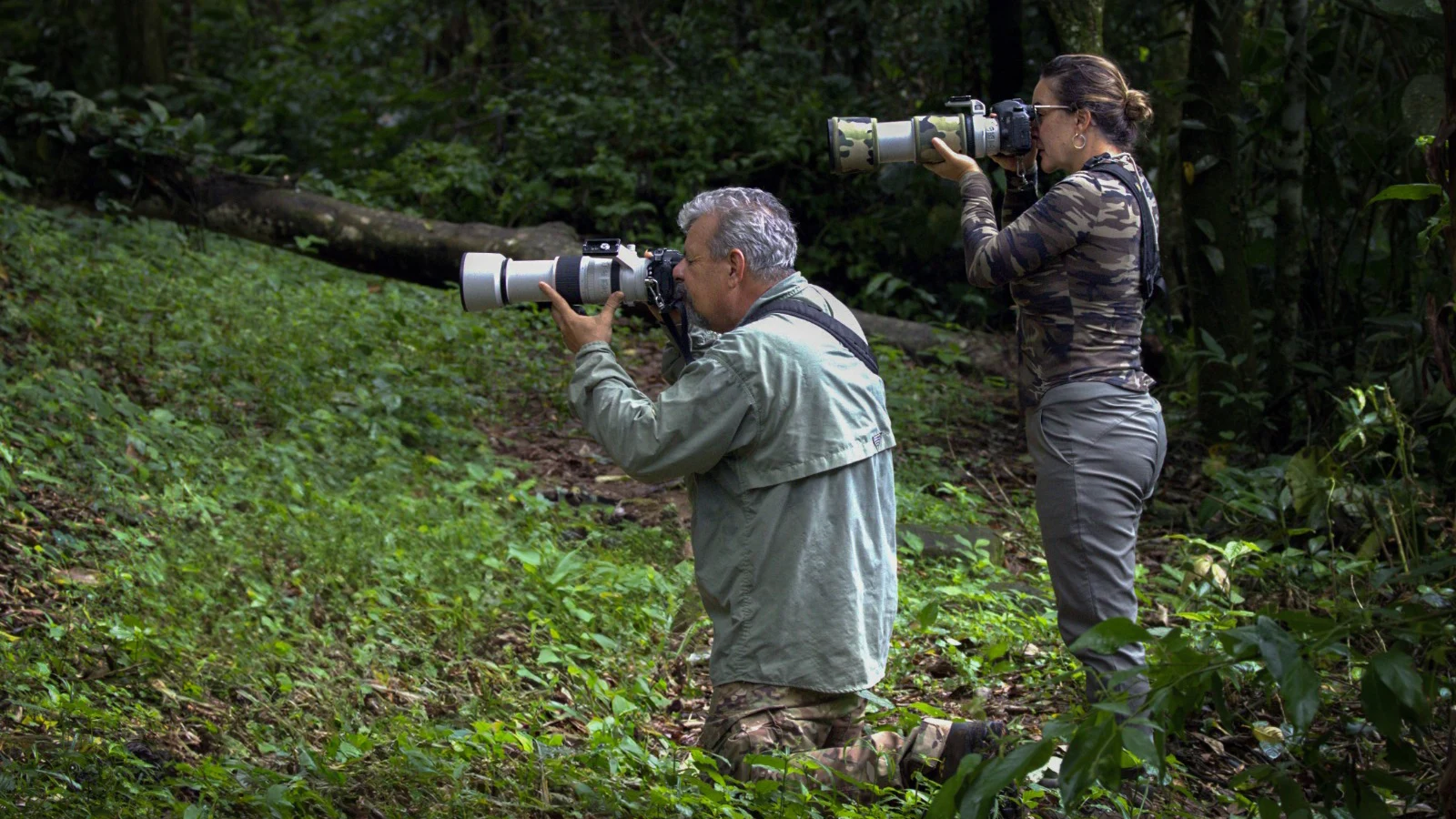 Fotógrafos Birdwatching Birdwatching photographers