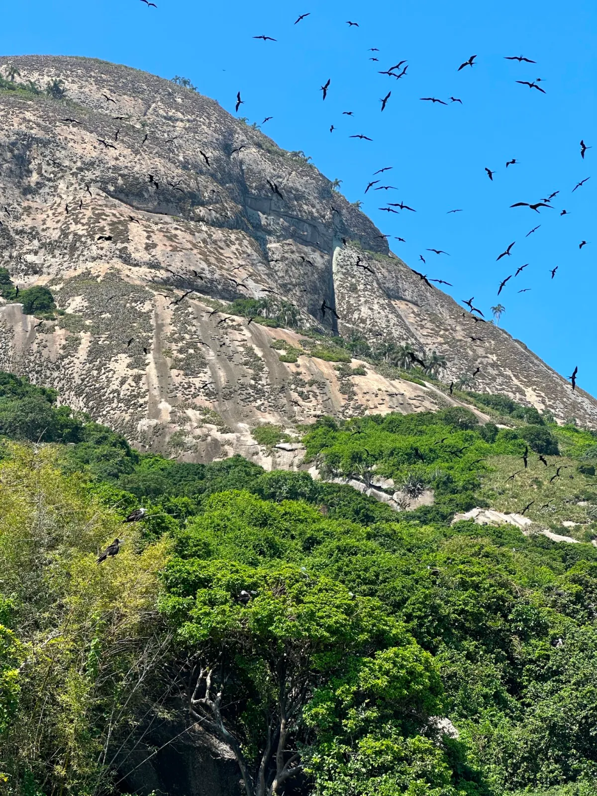 Arquipélago de Alcatrazes