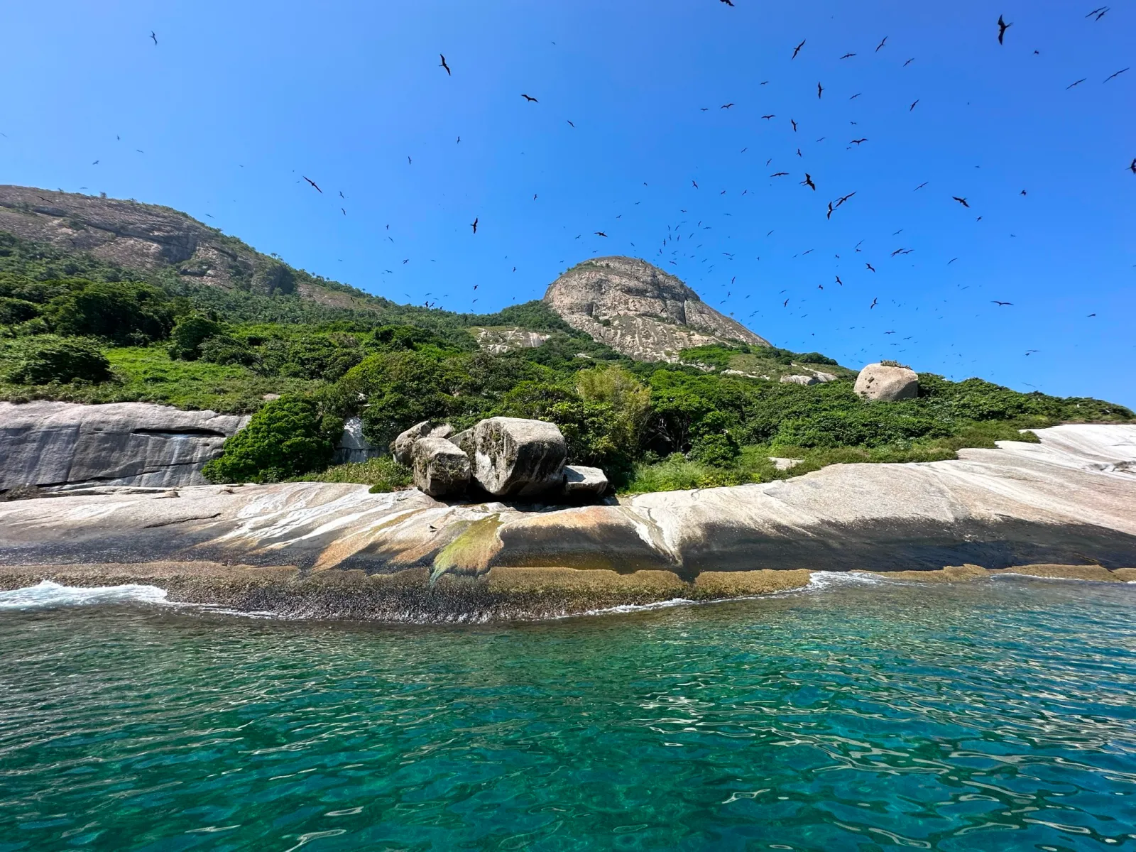 Arquipélago de Alcatrazes Alcatrazes Archipelago