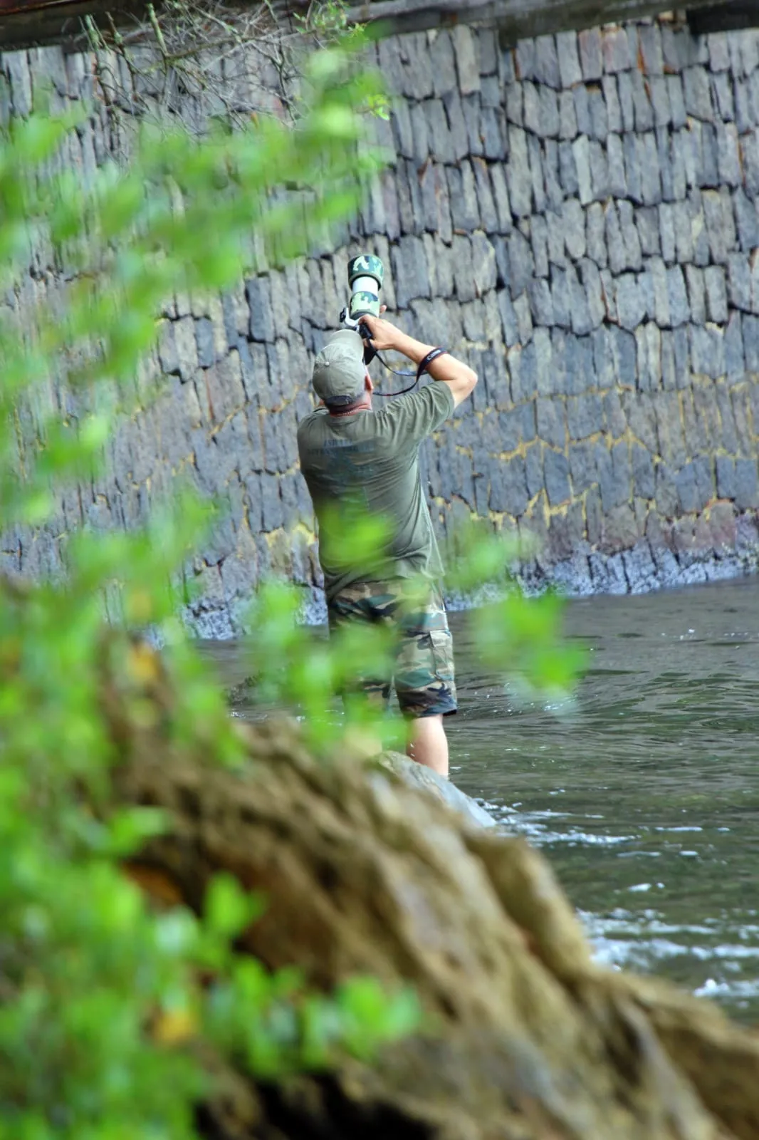 Fotógrafo Birdwatching