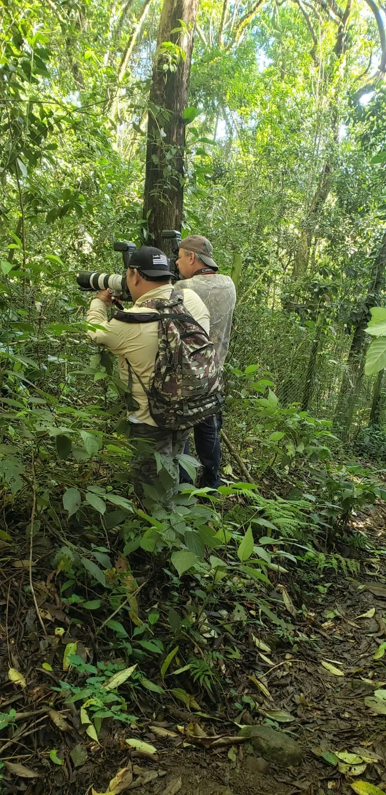 Fotógrafos Birdwatching
