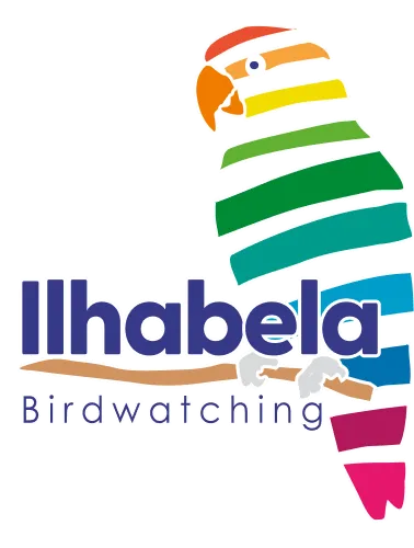 Ilhabela Birdwatching Ilhabela Birdwatching