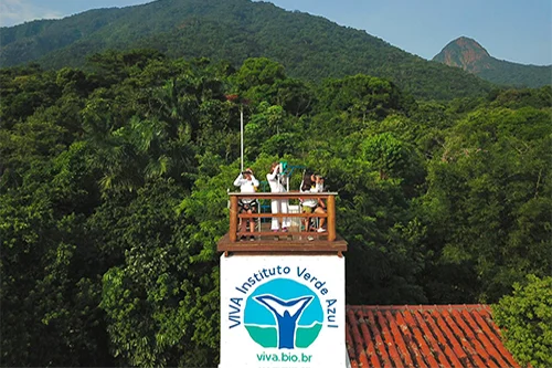 Viva verde moleiros