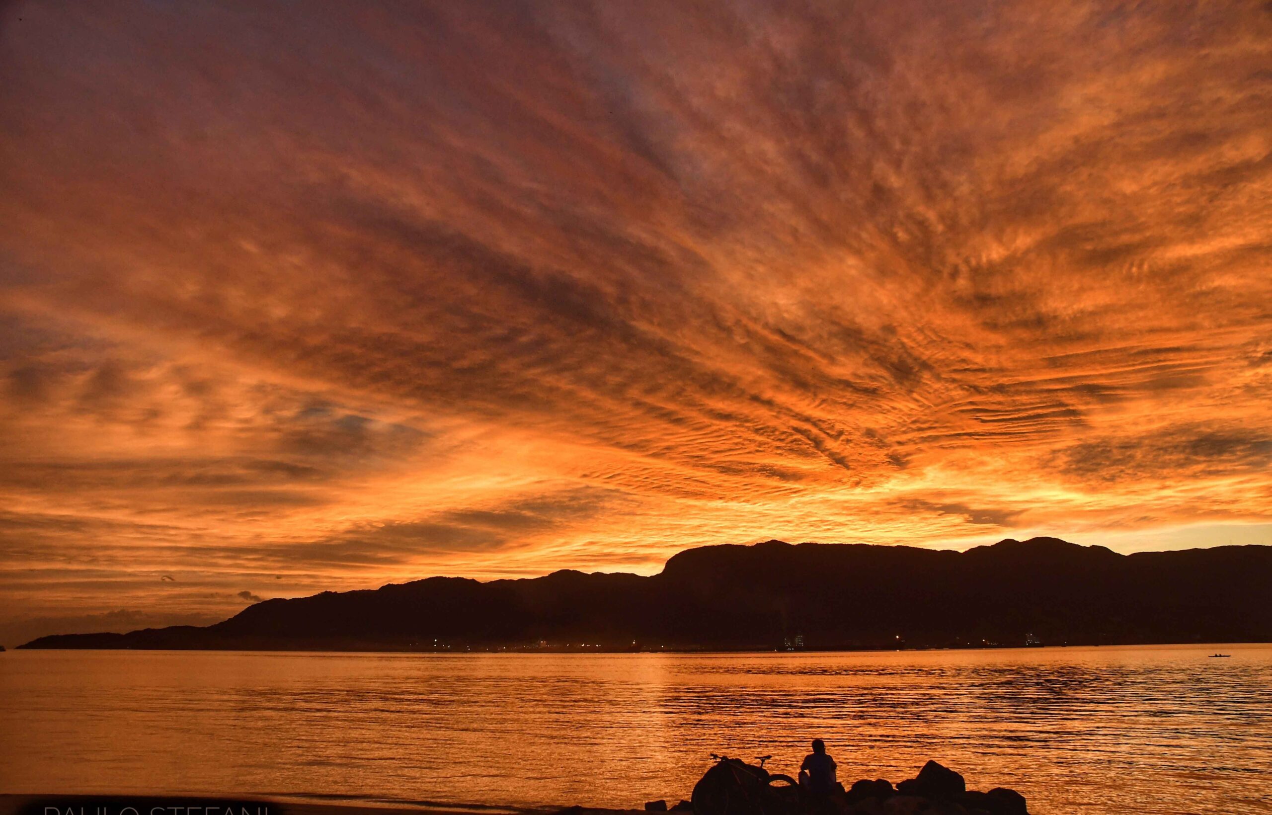 Final de Tarde - Pereque - Paulo Stefai - Sectur Ilhabela White-necked Hawk