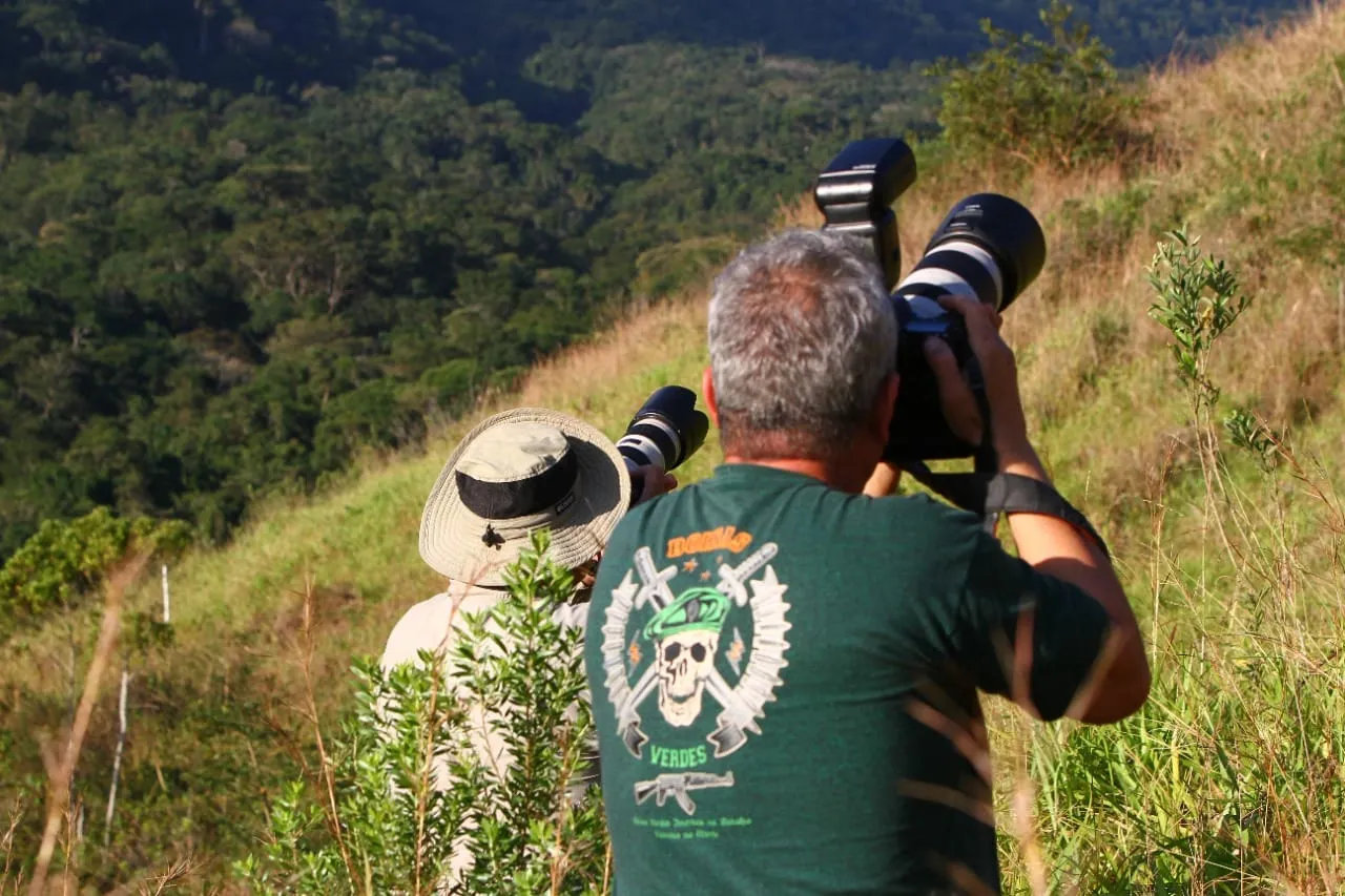 Fotógrafos birdwatching Ilhabela Ilhabela birdwatching photographers